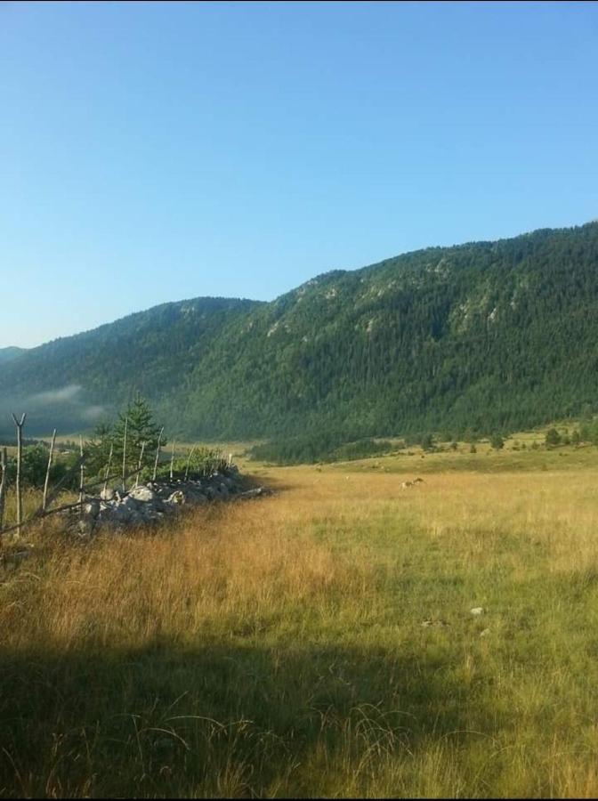 Mountain Peace Cottage Žabljak エクステリア 写真