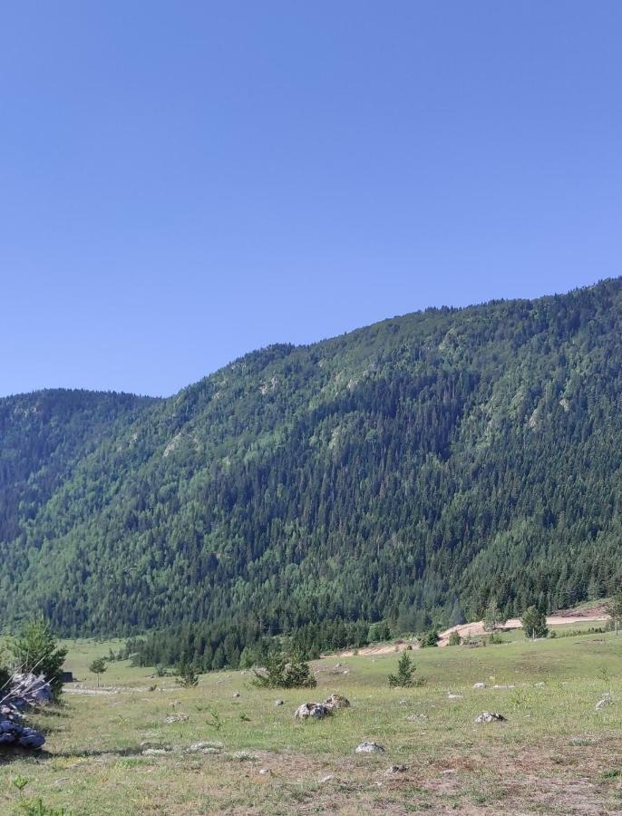 Mountain Peace Cottage Žabljak エクステリア 写真